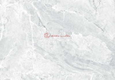 Gạch ốp lát APODIO 88285025